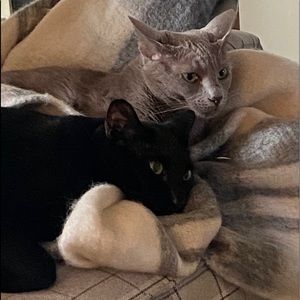 Meet your Posher, Debra